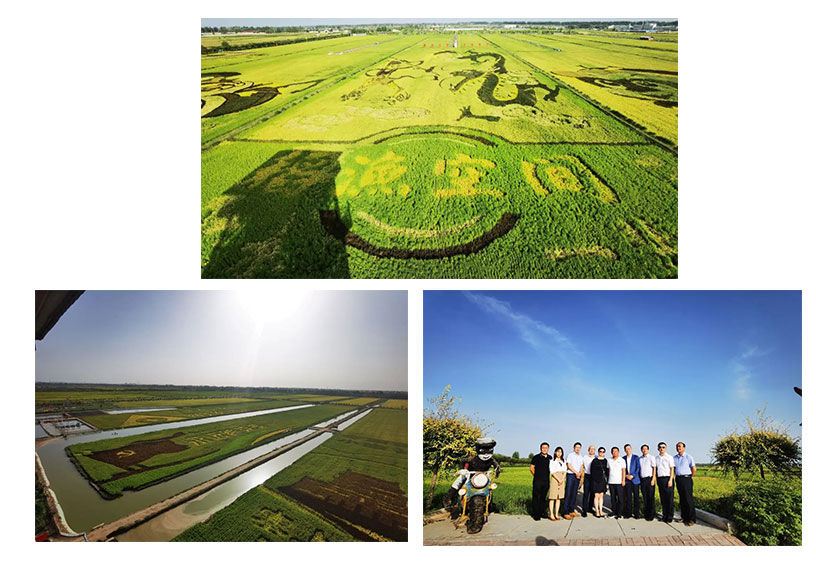 遠瓴數(shù)據(jù)集團與銀川市人民政府交流座談活動圓滿結束